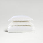 Scallop Edge & Jaipur Bundle